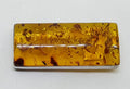 Sterling Silver Natural Amber Large Rectangular Brooch