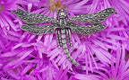 Sterling Silver Marcasite Large Dragonfly Brooch