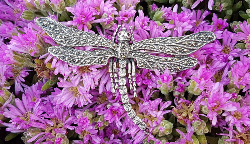Sterling Silver Marcasite Large Dragonfly Brooch