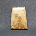 Polished Natural Koroit Boulder Opal - 25ct Large " Rectangular " Shape - Loose / Unset Stone
