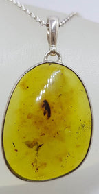 Sterling Silver Large Oval Natural Green Colombian Amber Pendant on Silver Chain - with Insect Inclusion