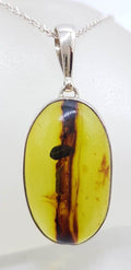 Sterling Silver Large Oval Natural Green Colombian Amber Pendant on Silver Chain - with Insect Inclusion