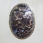 Sterling Silver Large Oval Turritella Agate / Fossil Stone with Patterned Rim Ring