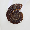 Sterling Silver Large Ammonite Fossil Ring