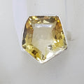 Sterling Silver Large Pentagon Shaped Bezel Set Citrine Ring