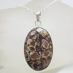 Sterling Silver Turritella Agate Fossil Large Oval Bezel Set Pendant on Silver Chain