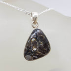Sterling Silver Turritella Agate Triangular Pendant on Silver Chain
