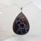 Sterling Silver Septarian Nodules / Dragon Stone Large Teardrop / Pear Shaped Pendant on Silver Chain