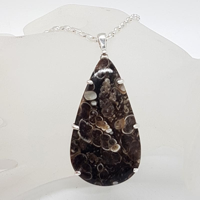 Sterling Silver Turritella Agate Fossil Large Teardrop / Pear Shaped Claw Set Pendant on Silver Chain