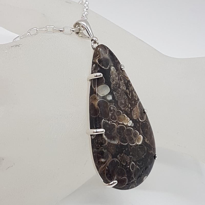 Sterling Silver Turritella Agate Fossil Large Teardrop / Pear Shaped Claw Set Pendant on Silver Chain