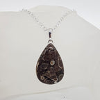 Sterling Silver Turritella Agate Fossil Large Teardrop / Pear Shaped Pendant on Silver Chain