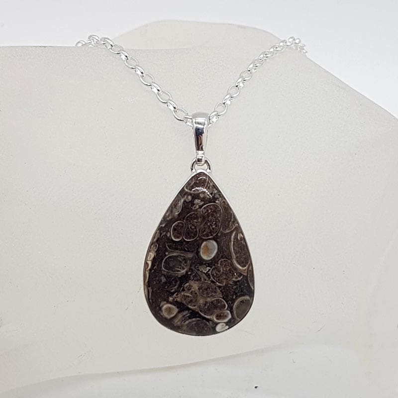 Sterling Silver Turritella Agate Fossil Large Teardrop / Pear Shaped Pendant on Silver Chain