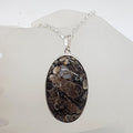 Sterling Silver Turritella Agate Fossil Large Oval Pendant on Silver Chain