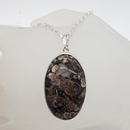 Sterling Silver Turritella Agate Fossil Large Oval Pendant on Silver Chain