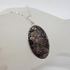 Sterling Silver Turritella Agate Fossil Large Oval Pendant on Silver Chain