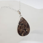 Sterling Silver Turritella Agate Fossil Large Teardrop / Pear Shaped Pendant on Silver Chain