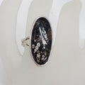 Sterling Silver Large Turritella Agate Fossil Oval Ring
