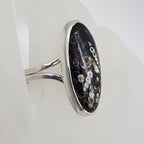 Sterling Silver Large Turritella Agate Fossil Oval Ring