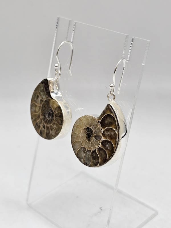Sterling Silver Ammolite Fossilized Shell Large Bezel Set Drop Earrings