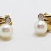 9ct Yellow Gold Pearl and Diamond Stud Earrings