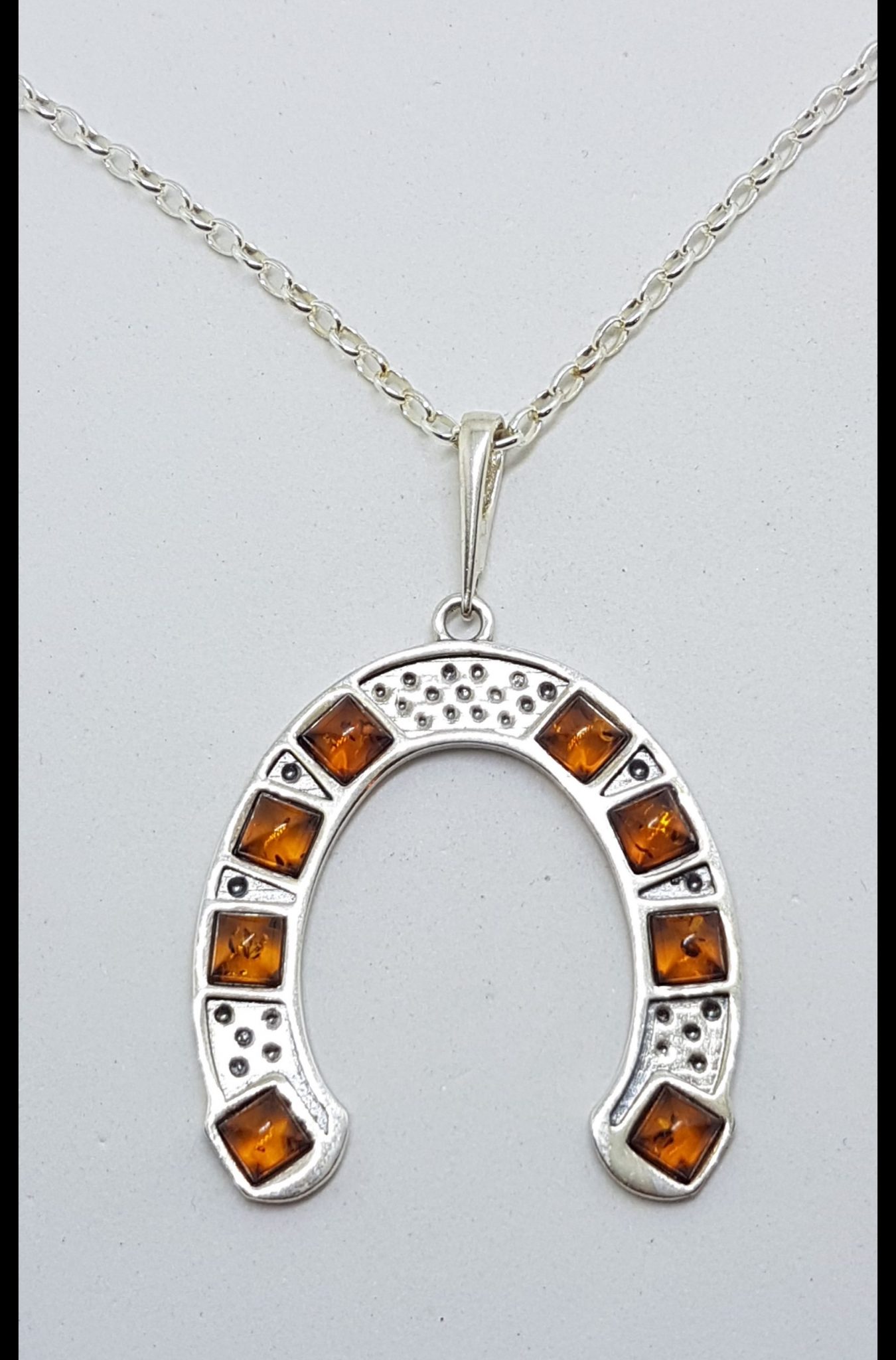 Sterling Silver and Amber Large Horseshoe Pendant on Chain