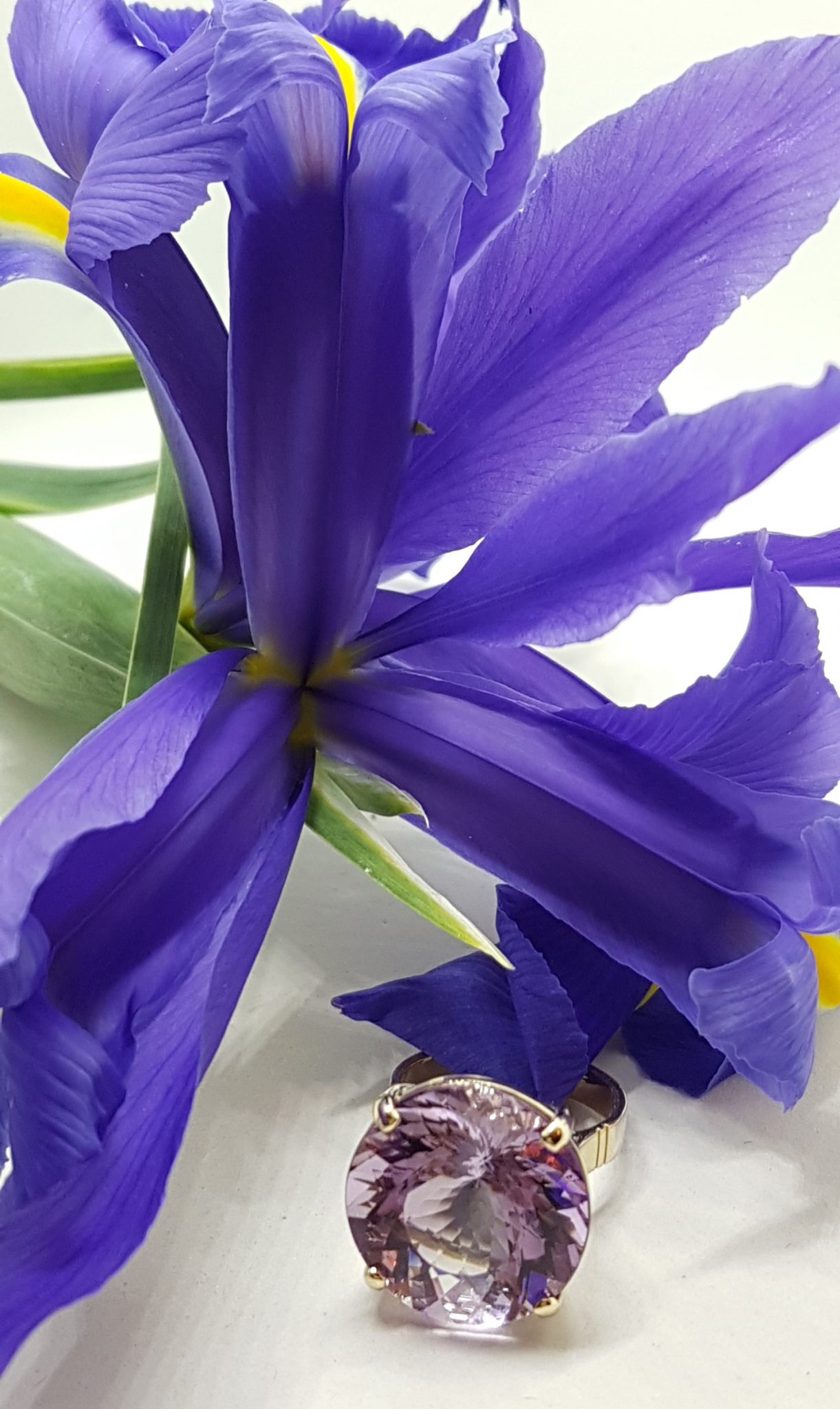 20201030_140526 9ct Yellow Gold Large Round Claw Set Amethyst Cocktail Ring