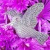 Sterling Silver Marcasite Large Bird / Hummingbird with Garnet Eye Brooch