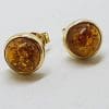9ct Yellow Gold Round Bezel Set Natural Baltic Amber Stud Earrings