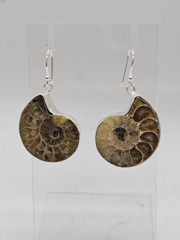 Sterling Silver Ammolite Fossilized Shell Large Bezel Set Drop Earrings