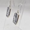Sterling Silver Dentritic Agata / Dendrite Agate Bezel Set Drop Earrings